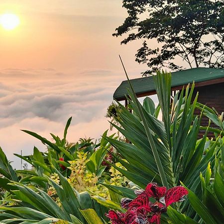 Minca Sintropia - Sustainable Lodge & Organic Coffee Finca ภายนอก รูปภาพ