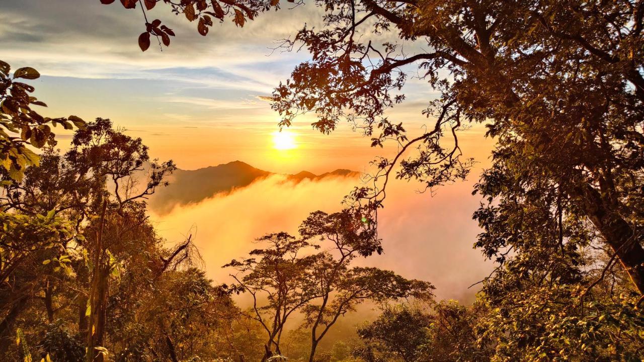 Minca Sintropia - Sustainable Lodge & Organic Coffee Finca ภายนอก รูปภาพ