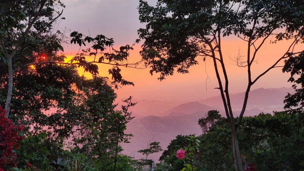Minca Sintropia - Sustainable Lodge & Organic Coffee Finca ภายนอก รูปภาพ