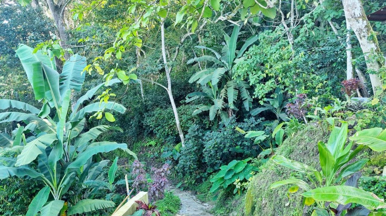 Minca Sintropia - Sustainable Lodge & Organic Coffee Finca ภายนอก รูปภาพ