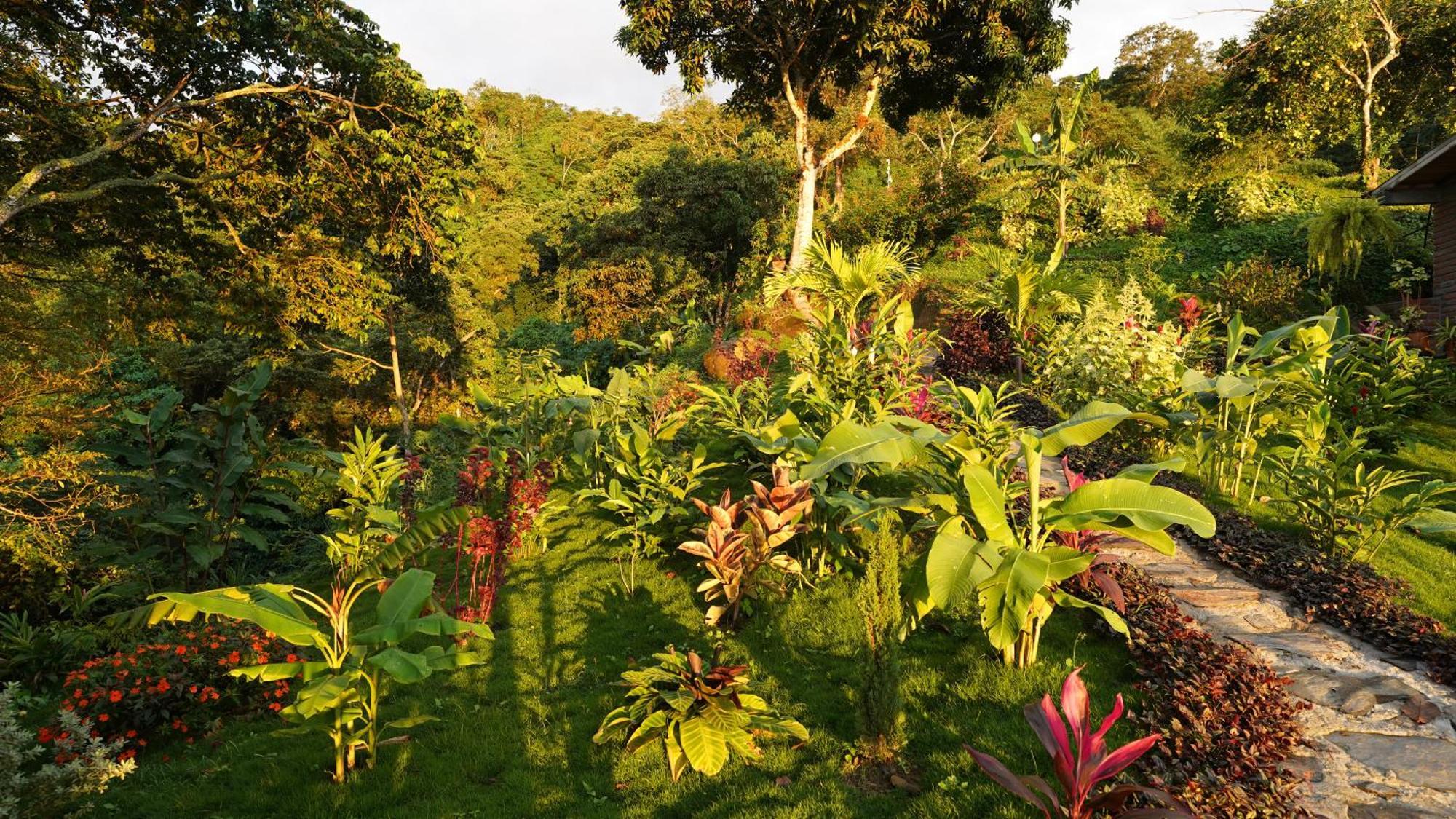 Minca Sintropia - Sustainable Lodge & Organic Coffee Finca ภายนอก รูปภาพ