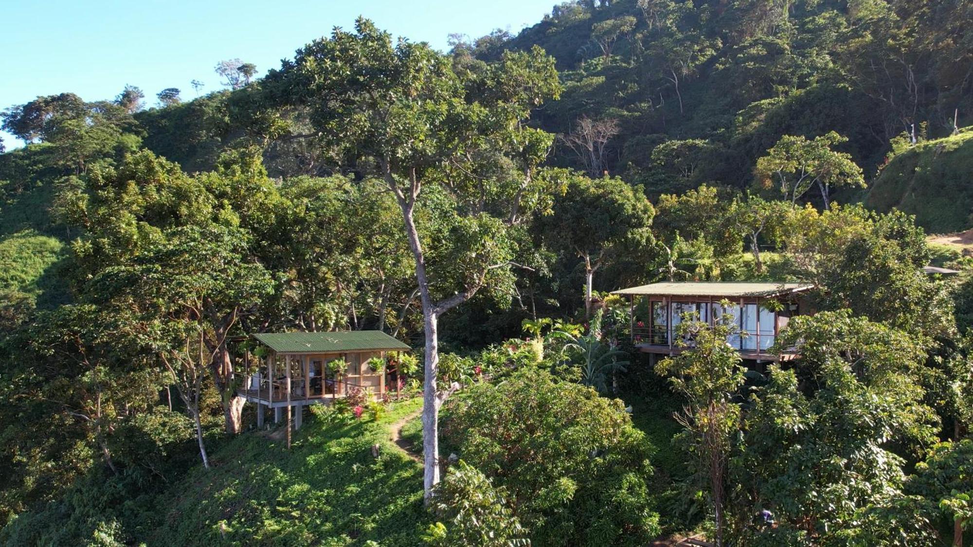 Minca Sintropia - Sustainable Lodge & Organic Coffee Finca ภายนอก รูปภาพ