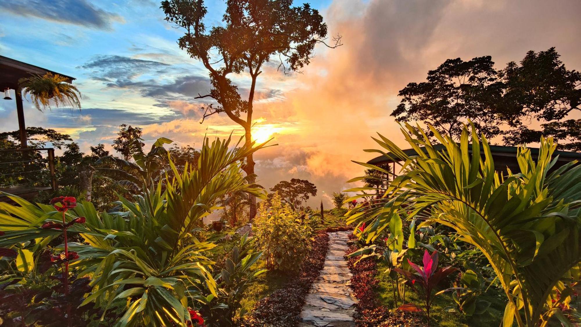 Minca Sintropia - Sustainable Lodge & Organic Coffee Finca ภายนอก รูปภาพ