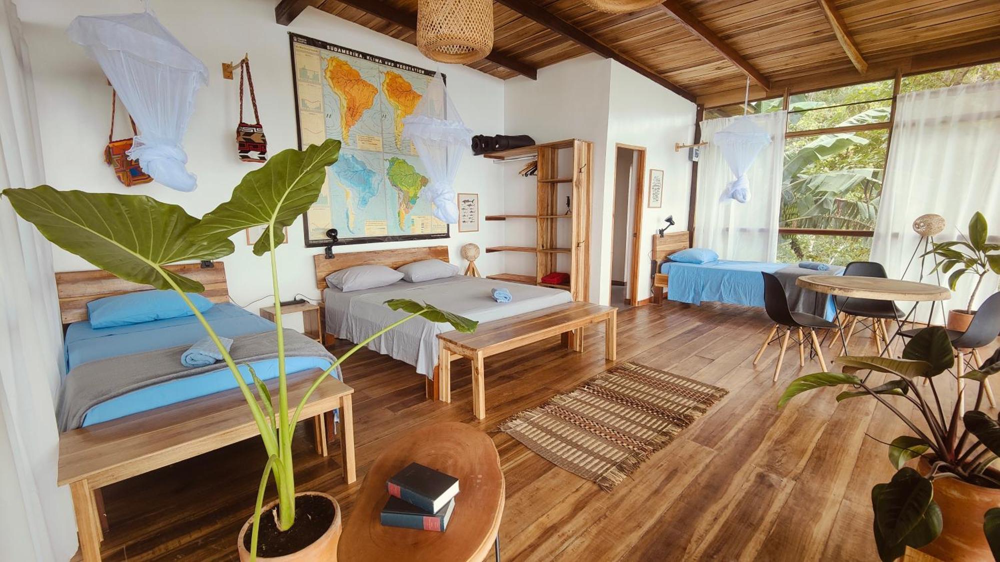 Minca Sintropia - Sustainable Lodge & Organic Coffee Finca ภายนอก รูปภาพ