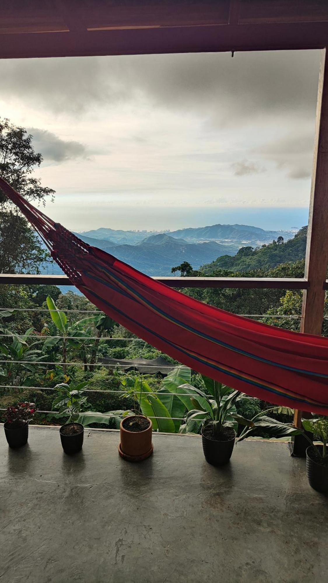 Minca Sintropia - Sustainable Lodge & Organic Coffee Finca ห้อง รูปภาพ