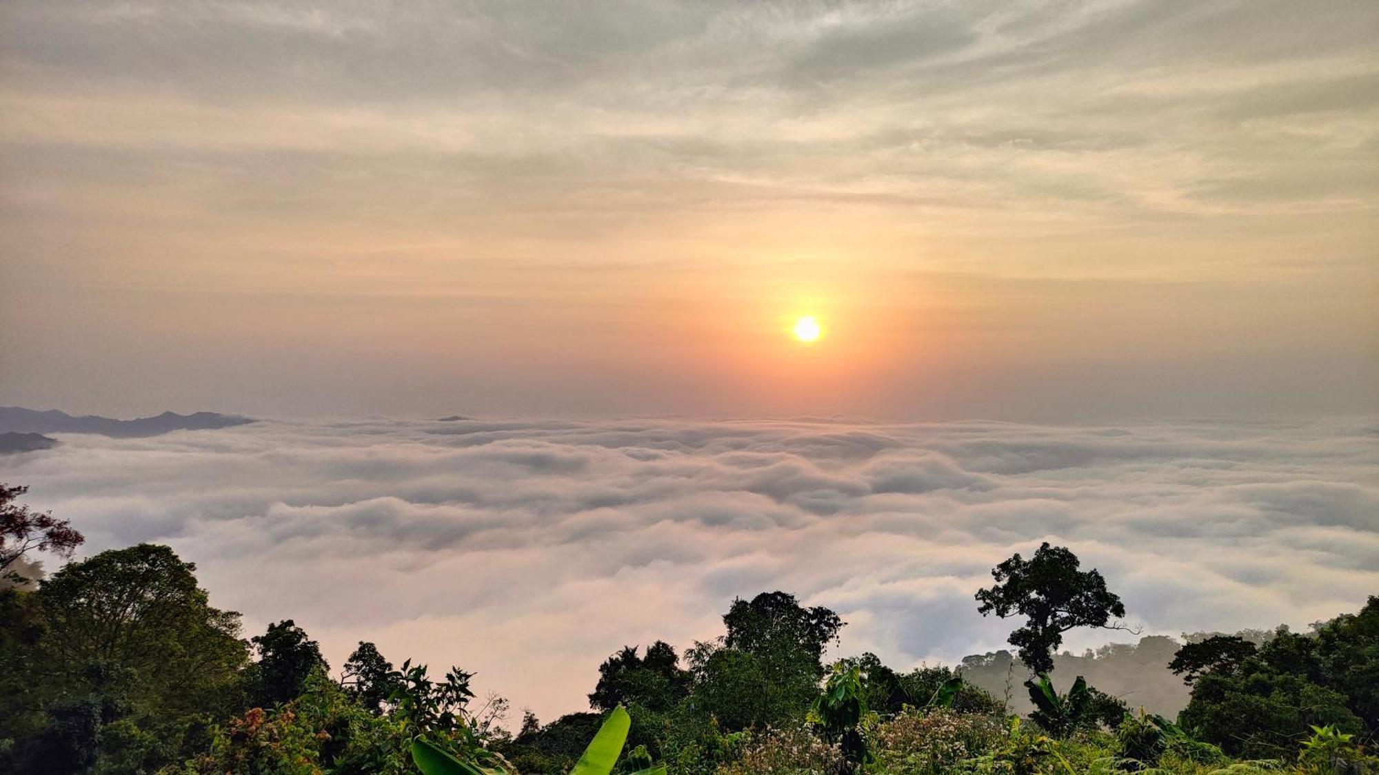 Minca Sintropia - Sustainable Lodge & Organic Coffee Finca ภายนอก รูปภาพ